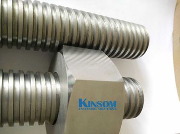 Hexagon nuts with thread rods special cold forging fasteners